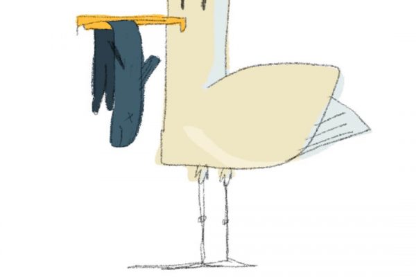 Möve_tillustrator